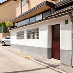 Bulbul Sarajevo